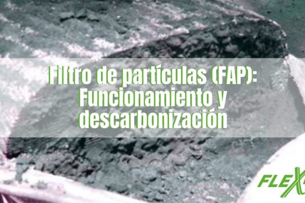 Filtro de particulas FAP Mantenimiento y Reemplazo · Flexfuel