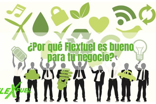 Flexfuel casos de éxito talleres