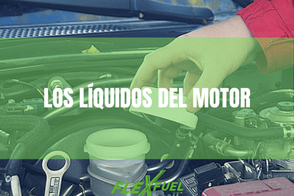 Mantenimiento del vehículo · Los líquidos del motor